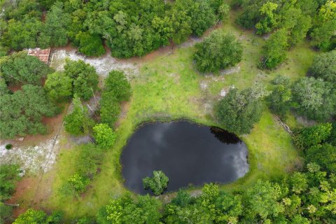 Land in Geneva, Florida № 1785180 - photo 6