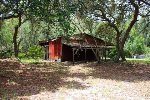 Land in Geneva, Florida № 1785180 - photo 15