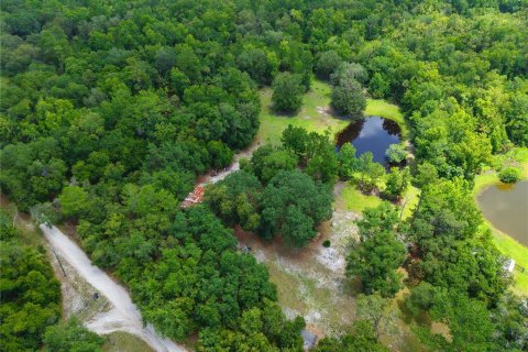 Land in Geneva, Florida № 1785180 - photo 5