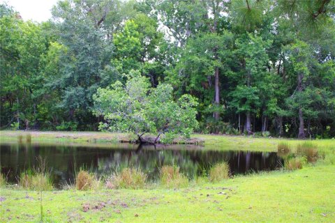 Land in Geneva, Florida № 1785180 - photo 20