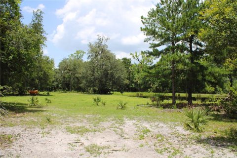 Land in Geneva, Florida № 1785180 - photo 1
