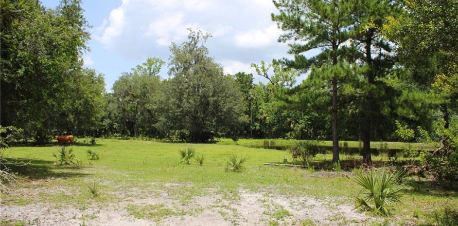 Land in Geneva, Florida № 1785180