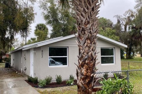 Casa en Eustis, Florida 3 dormitorios, 137.5 m2 № 2299620