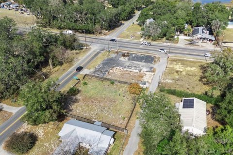 Land in Mascotte, Florida № 2329036