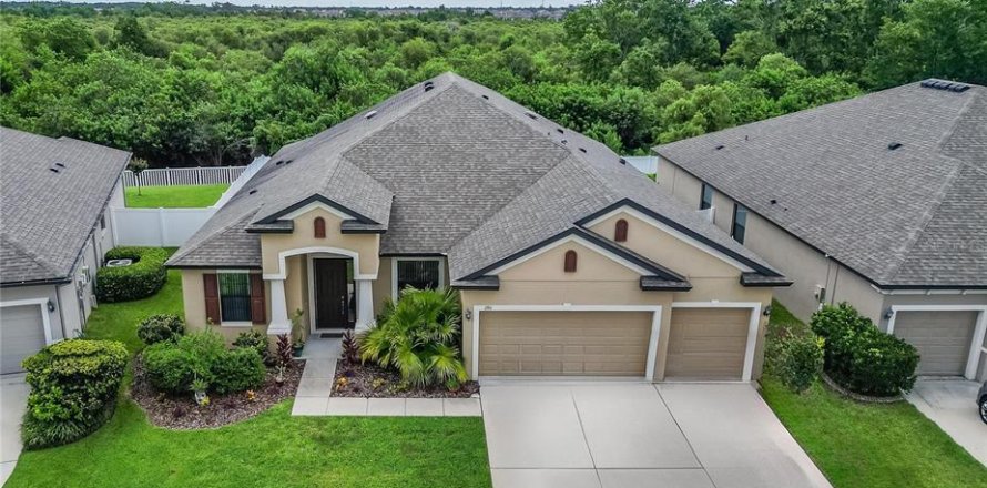 Дом в Ривервью, Флорида 6 комнат, 312.24м2 № 1800080