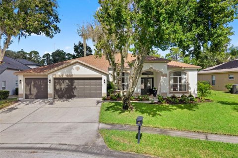 Casa en venta en Fish Hawk, Florida, 5 dormitorios, 285.95 m2 № 2383778 - foto 2