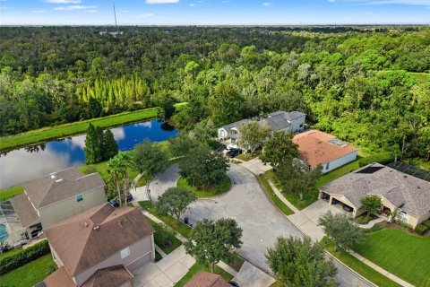 Casa en venta en Fish Hawk, Florida, 5 dormitorios, 285.95 m2 № 2383778 - foto 4
