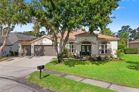 Casa en venta en Fish Hawk, Florida, 5 dormitorios, 285.95 m2 № 2383778 - foto 3