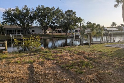 Land in Port Charlotte, Florida № 1249255 - photo 7