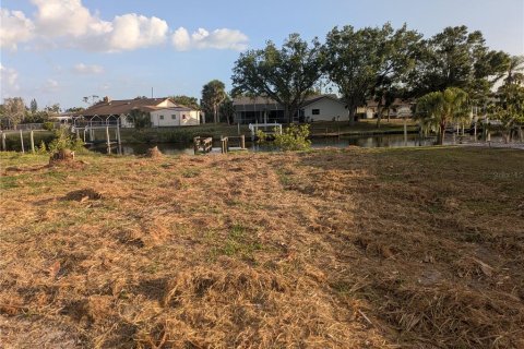 Land in Port Charlotte, Florida № 1249255 - photo 3