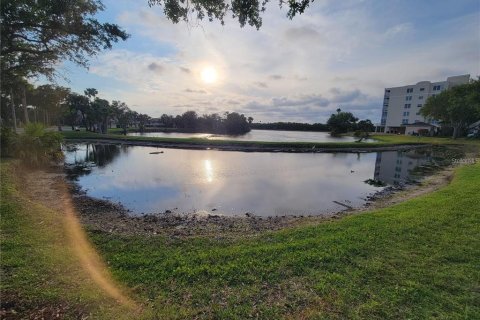 Condominio en alquiler en Saint Petersburg, Florida, 2 dormitorios, 111.95 m2 № 1908453 - foto 29