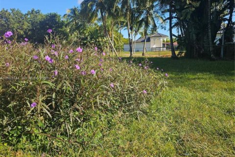 House in Miami, Florida 2 bedrooms, 116.78 sq.m. № 1985866 - photo 2