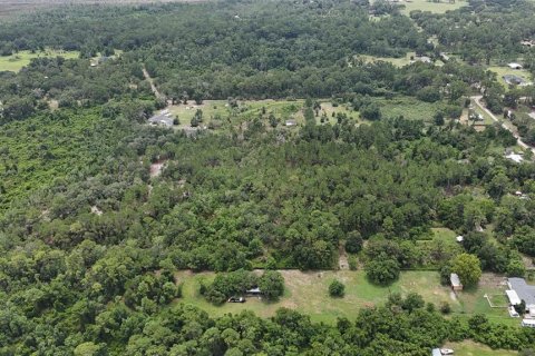 Terrain à vendre à Leesburg, Floride № 2204173 - photo 24