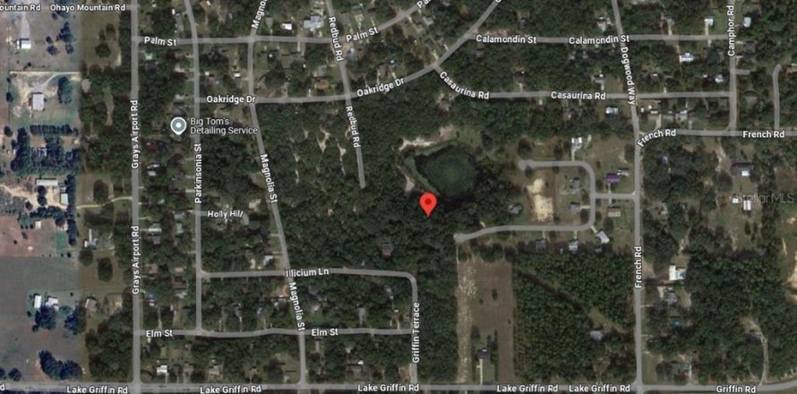 Land in Lady Lake, Florida № 2165320