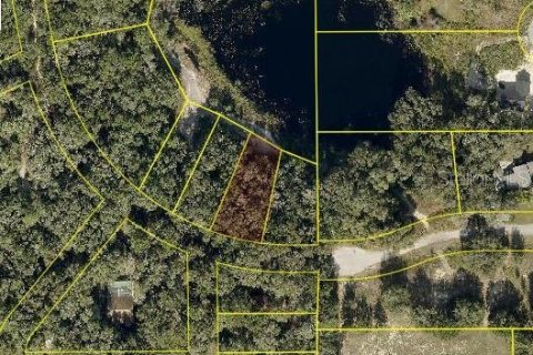 Land in Lady Lake, Florida № 2165320 - photo 2