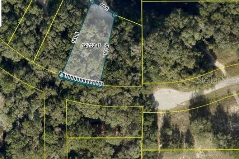 Land in Lady Lake, Florida № 2165320 - photo 3