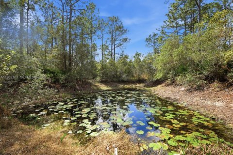 House in Ormond Beach, Florida 3 bedrooms № 2043343 - photo 28