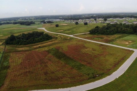 Terreno en venta en Thonotosassa, Florida № 2308797 - foto 2