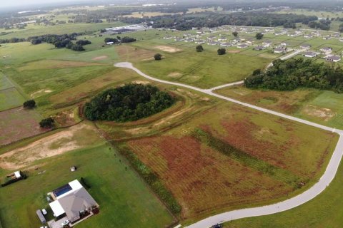 Terreno en venta en Thonotosassa, Florida № 2308797 - foto 3