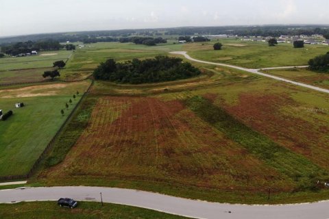 Terreno en Thonotosassa, Florida № 2308797