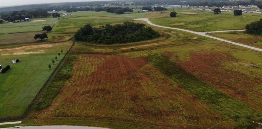 Terreno en Thonotosassa, Florida № 2308797