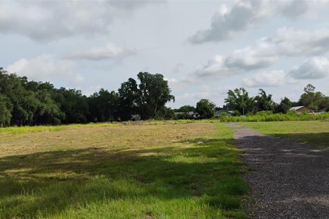Terreno en Plant City, Florida № 2212948