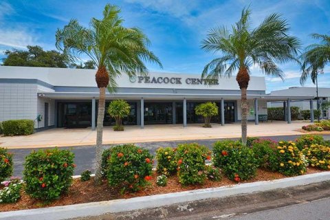Condo in Seminole, Florida, 2 bedrooms  № 1824655 - photo 27
