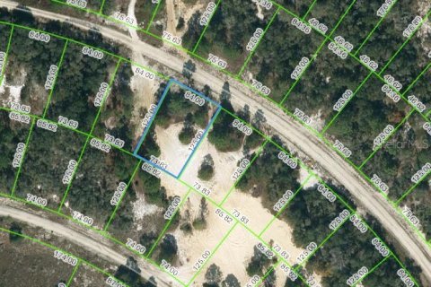 Land in Lake Placid, Florida № 2223974