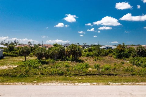 Land in Port Charlotte, Florida № 2162576