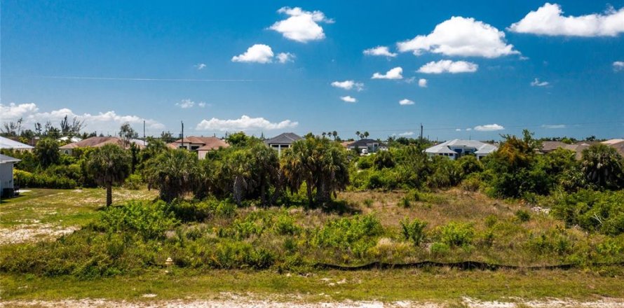 Land in Port Charlotte, Florida № 2162576
