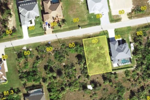 Land in Port Charlotte, Florida № 2162576 - photo 3