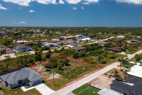 Land in Port Charlotte, Florida № 2162576 - photo 13