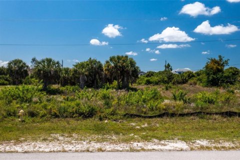Land in Port Charlotte, Florida № 2162576 - photo 4