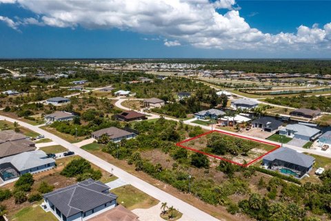 Land in Port Charlotte, Florida № 2162576 - photo 21