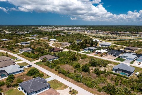 Land in Port Charlotte, Florida № 2162576 - photo 22