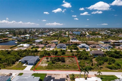 Land in Port Charlotte, Florida № 2162576 - photo 6
