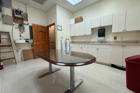 Immobilier commercial à louer à Palm Harbor, Floride: 178.37 m2 № 1642963 - photo 27