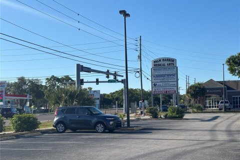 Immobilier commercial à louer à Palm Harbor, Floride: 178.37 m2 № 1642963 - photo 4