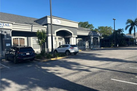 Immobilier commercial à louer à Palm Harbor, Floride: 178.37 m2 № 1642963 - photo 2