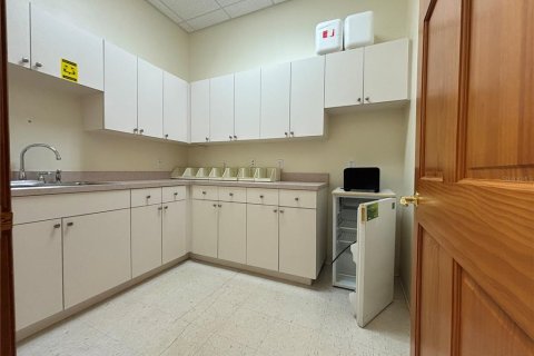 Immobilier commercial à louer à Palm Harbor, Floride: 178.37 m2 № 1642963 - photo 24