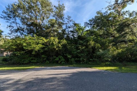 Terreno en Ocala, Florida № 2236204