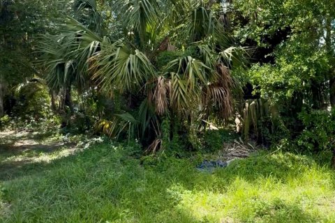 Terreno en Plant City, Florida № 2167325