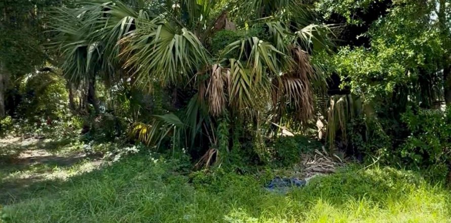 Terreno en Plant City, Florida № 2167325