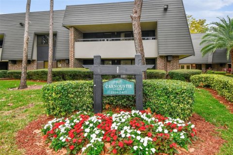 Condo in Palm Harbor, Florida, 1 bedroom № 2104359