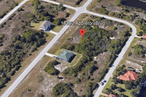 Land in Port Charlotte, Florida № 2160764