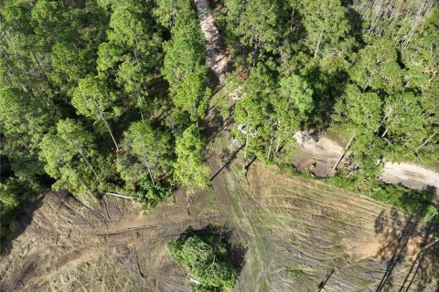 Land in Groveland, Florida № 1440557 - photo 5