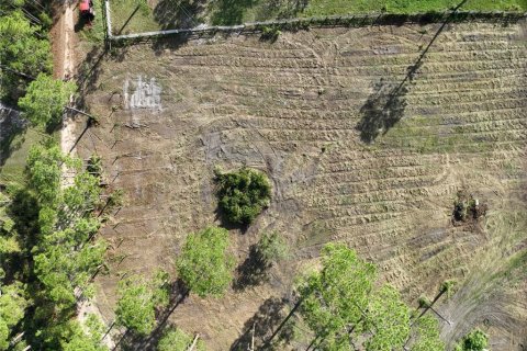 Land in Groveland, Florida № 1440557 - photo 10