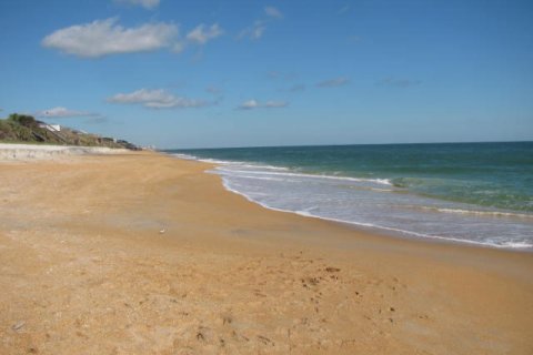 Land in Flagler Beach, Florida № 801367 - photo 1