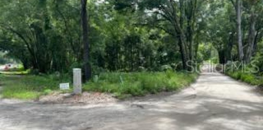 Terrain à Alachua, Floride № 1839767