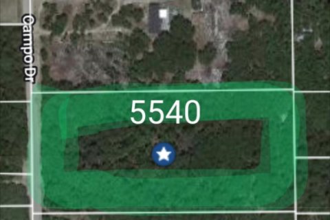 Land in Keystone Heights, Florida № 769346 - photo 1